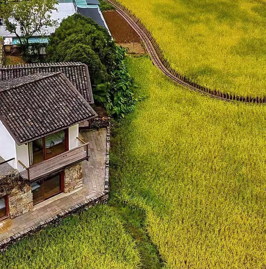 Qinling landscape